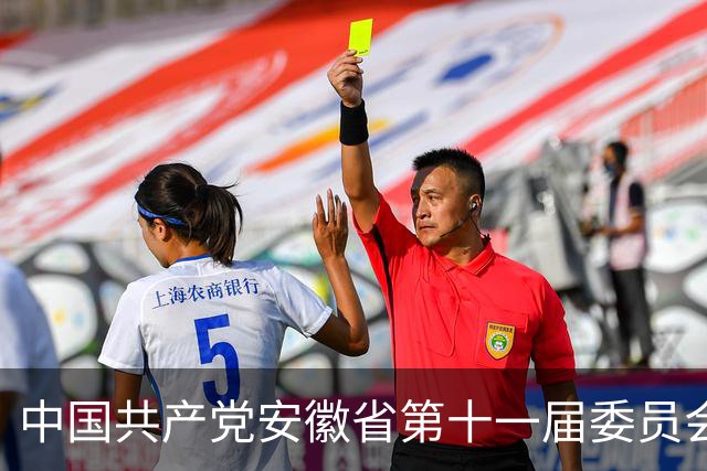 中国共产党安徽省第十一届委员会第十三次全体会议决议