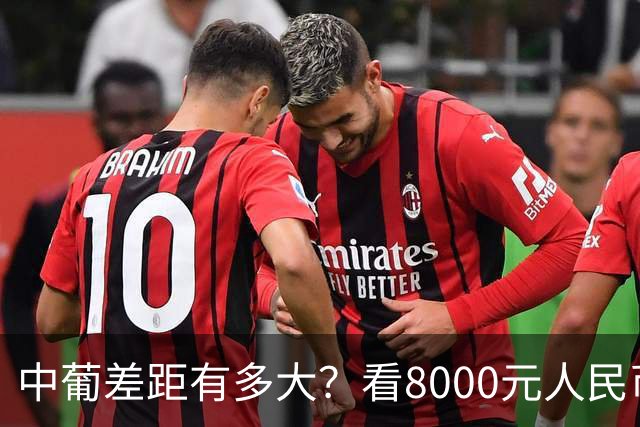 中葡差距有多大？看8000元人民币，在葡萄牙能享受几天就明白了！