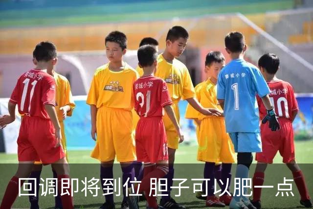 回调即将到位 胆子可以肥一点
