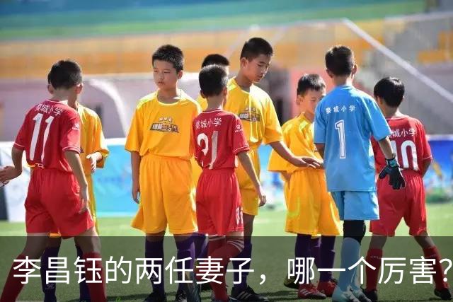 李昌钰的两任妻子，哪一个厉害？