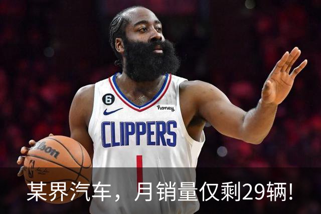 某界汽车，月销量仅剩29辆!