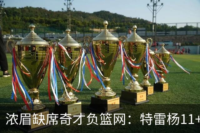 浓眉缺席奇才负篮网：特雷杨11+11+8失误 波特22分压状元14分