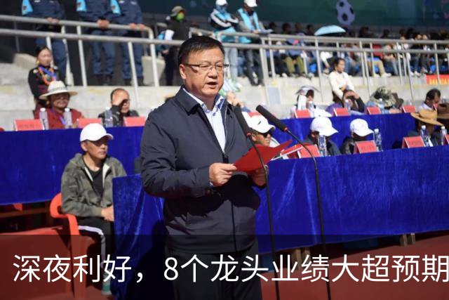 深夜利好，8个龙头业绩大超预期，AI龙头增长19倍，9股暴雷