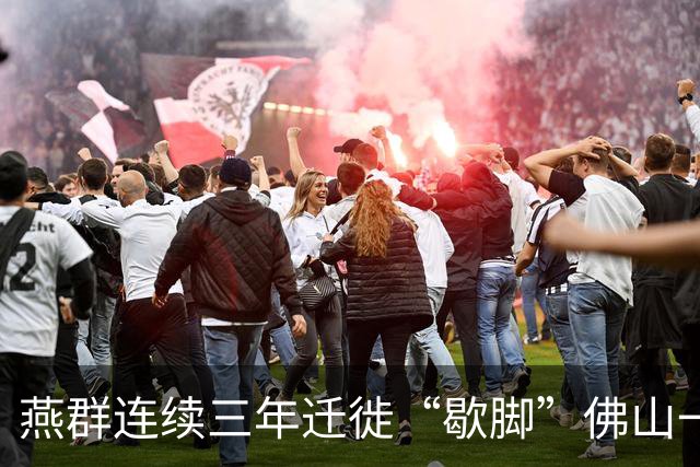 燕群连续三年迁徙“歇脚”佛山一小区，车辆、行人频遭“鸟粪雨”！当地采取应对措施 专家解读如何人鸟共存