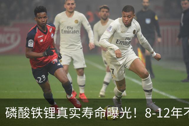磷酸铁锂真实寿命曝光！8-12年不是标配，全看你怎么造