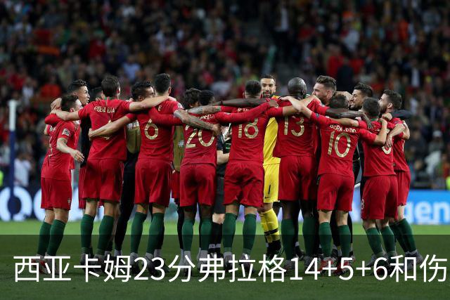西亚卡姆23分弗拉格14+5+6&伤退 独行侠轻取步行者