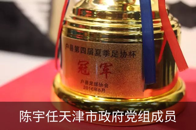 陈宇任天津市政府党组成员