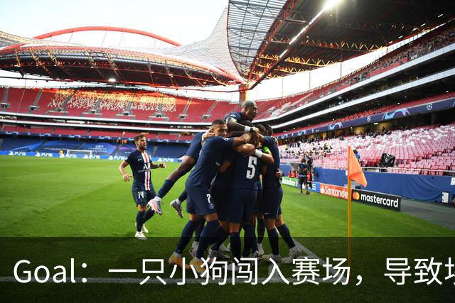 Goal：一只小狗闯入赛场，导致埃及联赛中断