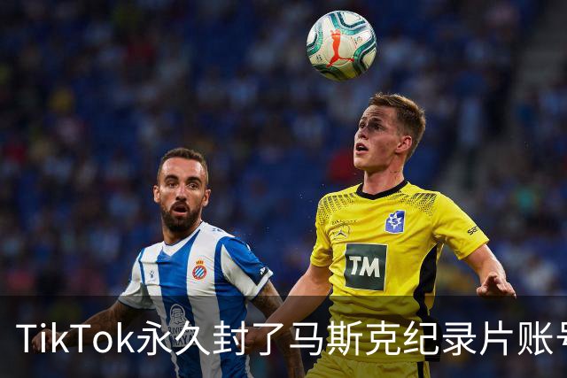TikTok永久封了马斯克纪录片账号，宣传团队正全力申诉